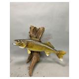 Mounted Walleye