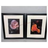 Two Framed Rose Bud Prints