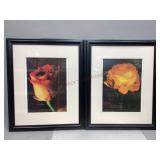 Two Framed Prints Featuring Roses