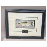 Framed Print of Steelhead Trout & Fly Fishing Lure