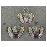 82nd ASN Division Halo Pins