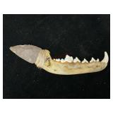 Arrowhead on Jaw Handle