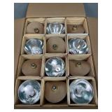 24 Hytron Light Bulbs