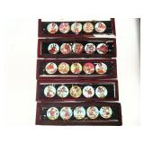 Magic Lantern Slide Sets