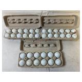 Titlest and Pro V1 Used Golfballs