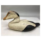 Common Eider Drake Duck Decoy