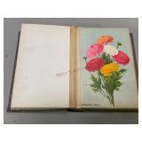 Album of Photo Cards of Flowers