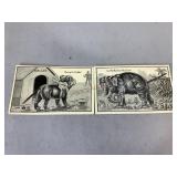 Spring Tail Postcards