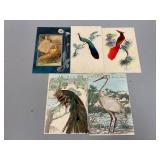 Bird Postcards with Real Feathers