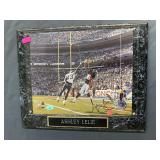 Ashley Leslie image, on wood