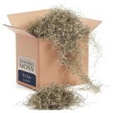 Royal Imports Natural Spanish Moss, 3 LB Bulk Case