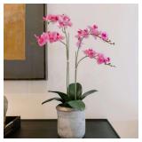 CG Hunter Faux Pink Orchid Plant, 24  with Pot