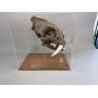 The Lovett Collection: Ancient Artifacts and World War II Memorabilia
