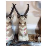 Pronghorn Antelope Buck Taxidermy Shoulder Mount