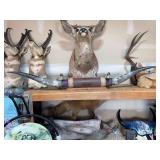 Large Mounted Longhorn Steer Horns with Leather-Covered Center Mount