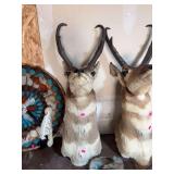 Pronghorn Antelope Buck Taxidermy Shoulder Mount