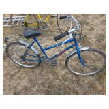 Physiofit 10 speed bicycle