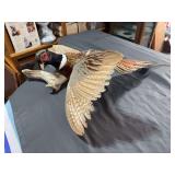 Ring-Necked Pheasant Taxidermy Flying Mount on Antler Base