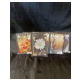 7 Greeting Cards