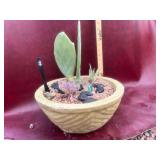 12” succulent bowl with established plants