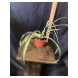 4” Spider Pla t