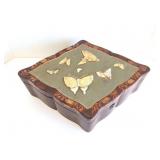 BUTTERFLY BOX - JAPAN