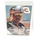 DAME EARNHARDT- #3- HANGING PICTURE