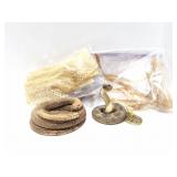 REAL SNAKESKINS AND SNAKE DECOR