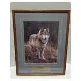 WIL KINGDOM SERIES- TIMBER WOLF- VERY NICE FRAMED