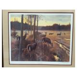 RELUCTANT BUCK- SIGNED AND NUMBERED- DAVID