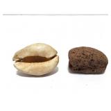 SHELL AND ANCIENT ARTIFACT