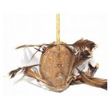 TURTOE SHELL CEREMONIAL ITEM- SHAKER- WITH
