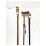 3- CANES AND WALKING STICKS