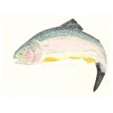 LARRY CRAWFORD- "JUMPING RAINBOW TROUT"- SIGNED-