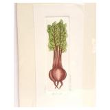 BARBARA TIDWELL-  " BEET ET"- 228/1200-