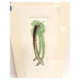 BARBARA TIDWELL- " SHELLBEANS"- 248/1200- PRINT-