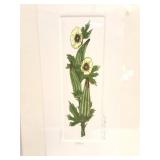 BARBARA TIDWELL- " OKRA"- 570/1200- PRINT-