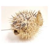 AWESOME PUFFERFISH