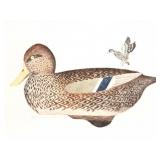 LARRY CRAWFORD-"MALLARD HEN DECOY"- LIMITED