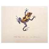 SARAH RICHARDSON- " TREE FROG"- SIGNED AND