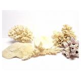 NATURAL CORAL- LARGE LOT