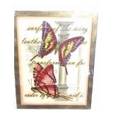 27033C TRANSITIONAL BUTTERFLY (B) II- 2004 OLD
