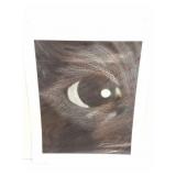 SIGNED PRINT- EYE- IN LOOSE PLASTIC- IN CARBOARD
