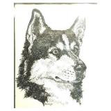 CANINE HEAD PORTAIT- 1977- PRINT- FRAMED- BY KIM