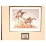 DUCKS UNLIMITED EDITION- 486/3500Z SIGNED, FRAMED