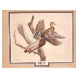 LARRY HAYDEN 1983- SIGNED,  NUMBERED AND FRAMED