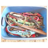 HALTERS- LARGE TOTE OF ASSORTED HALTERS AND LEADS