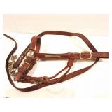 LEATHER HORSE SHOW HALTER AND LEAD SHANK WITH