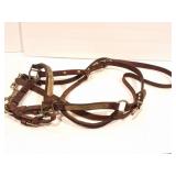 LEATHER HORSE SHOW HALTER AND LEAD SHANK WITH