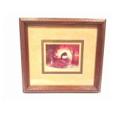 JON JONES- FRAMED DUCK PHOTO- APPROXIMATELY 10
